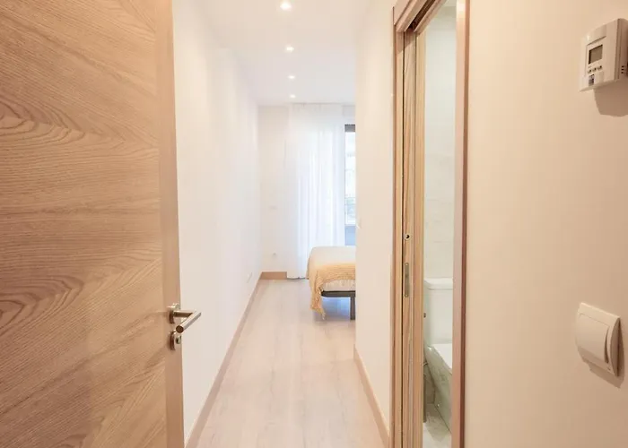 Ebony I Local Rentss Apartment Zarautz